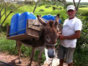 A citizen leads a donkey carrying water jugs. Um cidadão conduz um burro carregando cântaros de água.