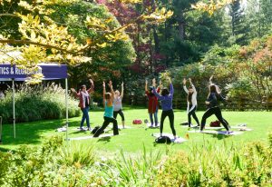 Students do yoga in the Economics HQ courtyard.
